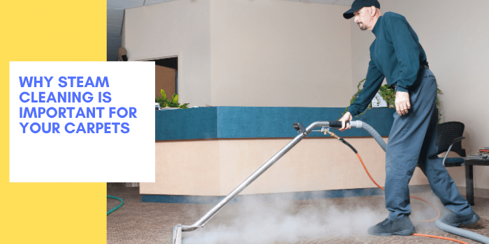 Why Steam Cleaning Is Important For Your Carpets